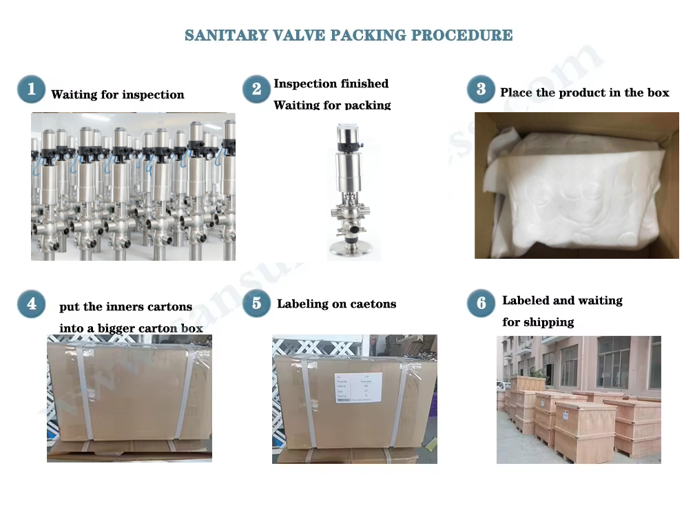 mixproof double seat valve vermischungssicheres Doppelsitzventil