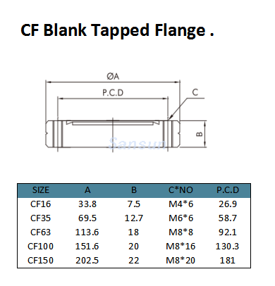 Cf leerer Flansch (3)