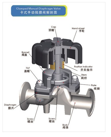 Zwerchfell-Valve-Anatomie-Diagramm