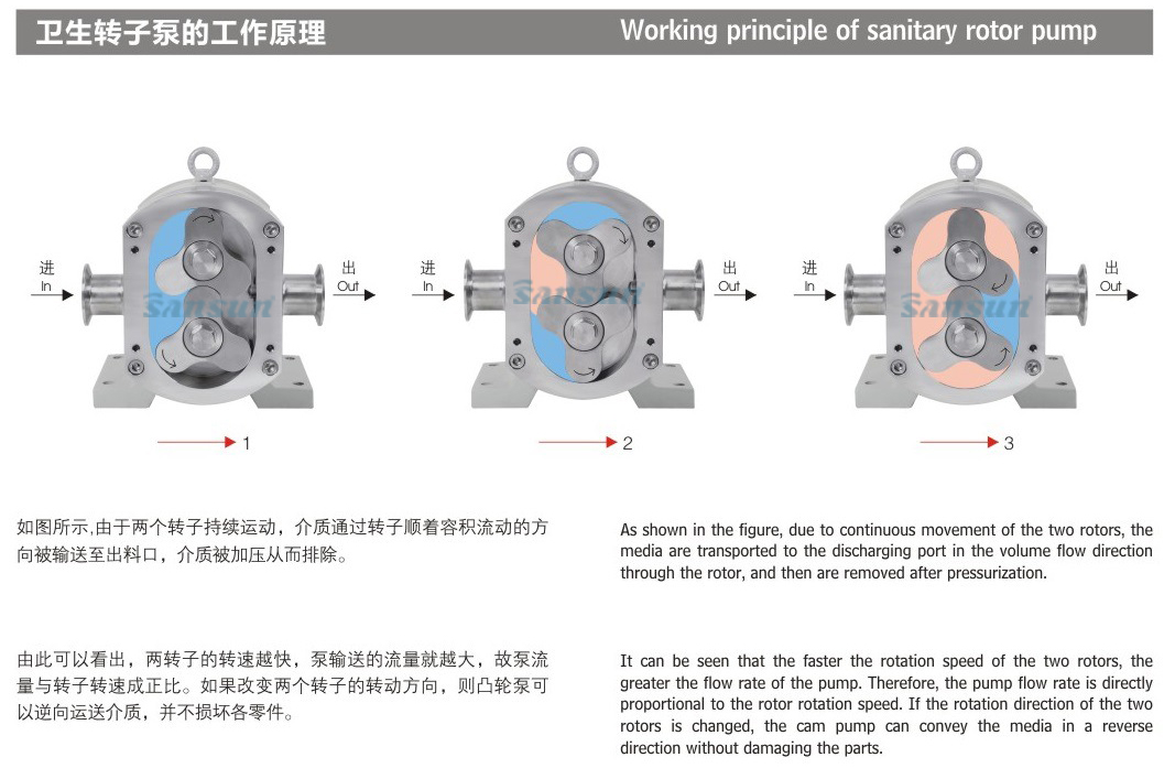 Arbeitsterprinzip-von-syitorregen-rotor-Pump