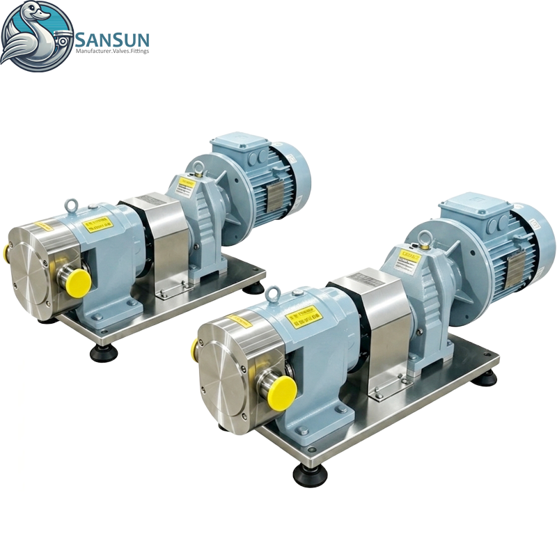 Hygienische Drehkolbenpumpe aus Edelstahl 316L